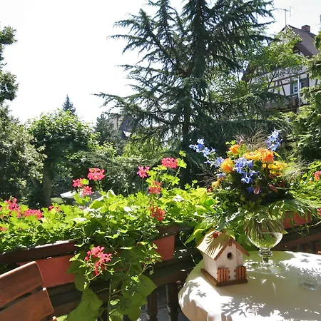 Obere Linde 4* أوبركيرش