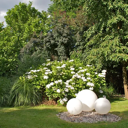 Obere Linde فندق أوبركيرش