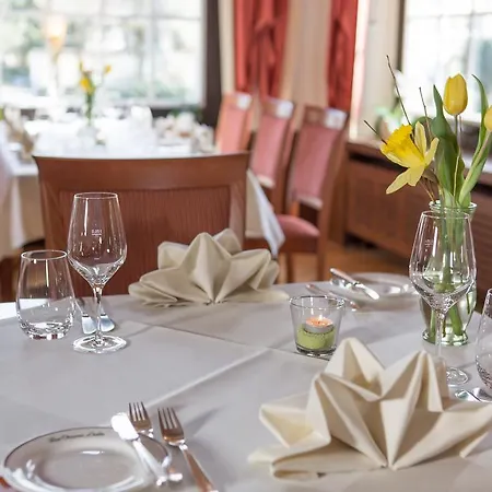 فندق Obere Linde أوبركيرش