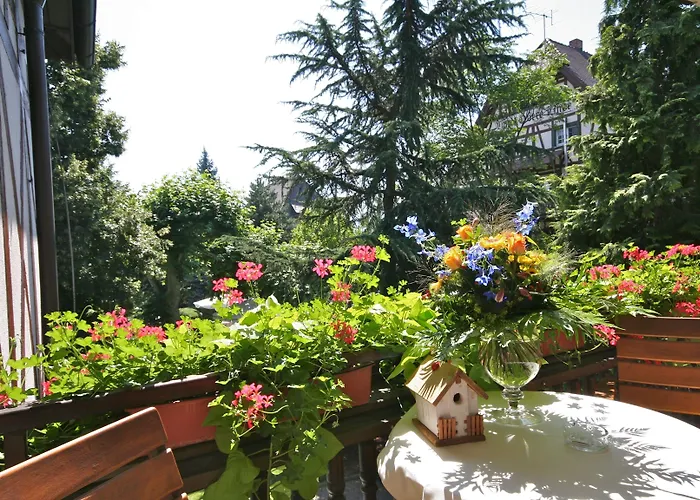 Obere Linde 4* Oberkirch (Baden)