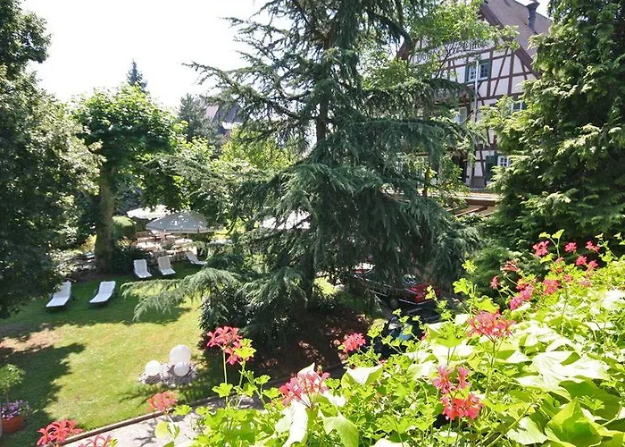 Obere Linde Oberkirch (Baden)